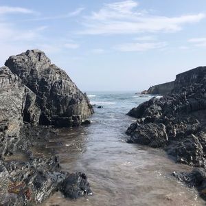 Meet your Posher, Sheldon